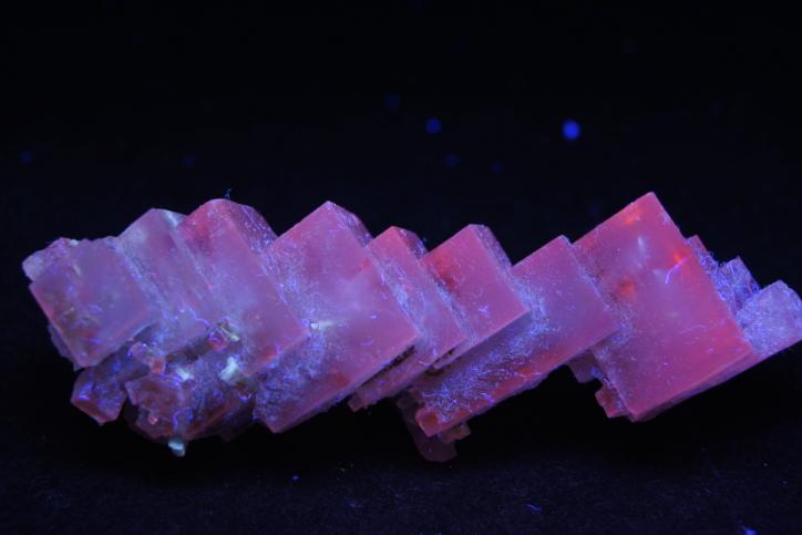 Halita
8 x 2,5 x 2 cm
(Autor: Antonio Alcaide)