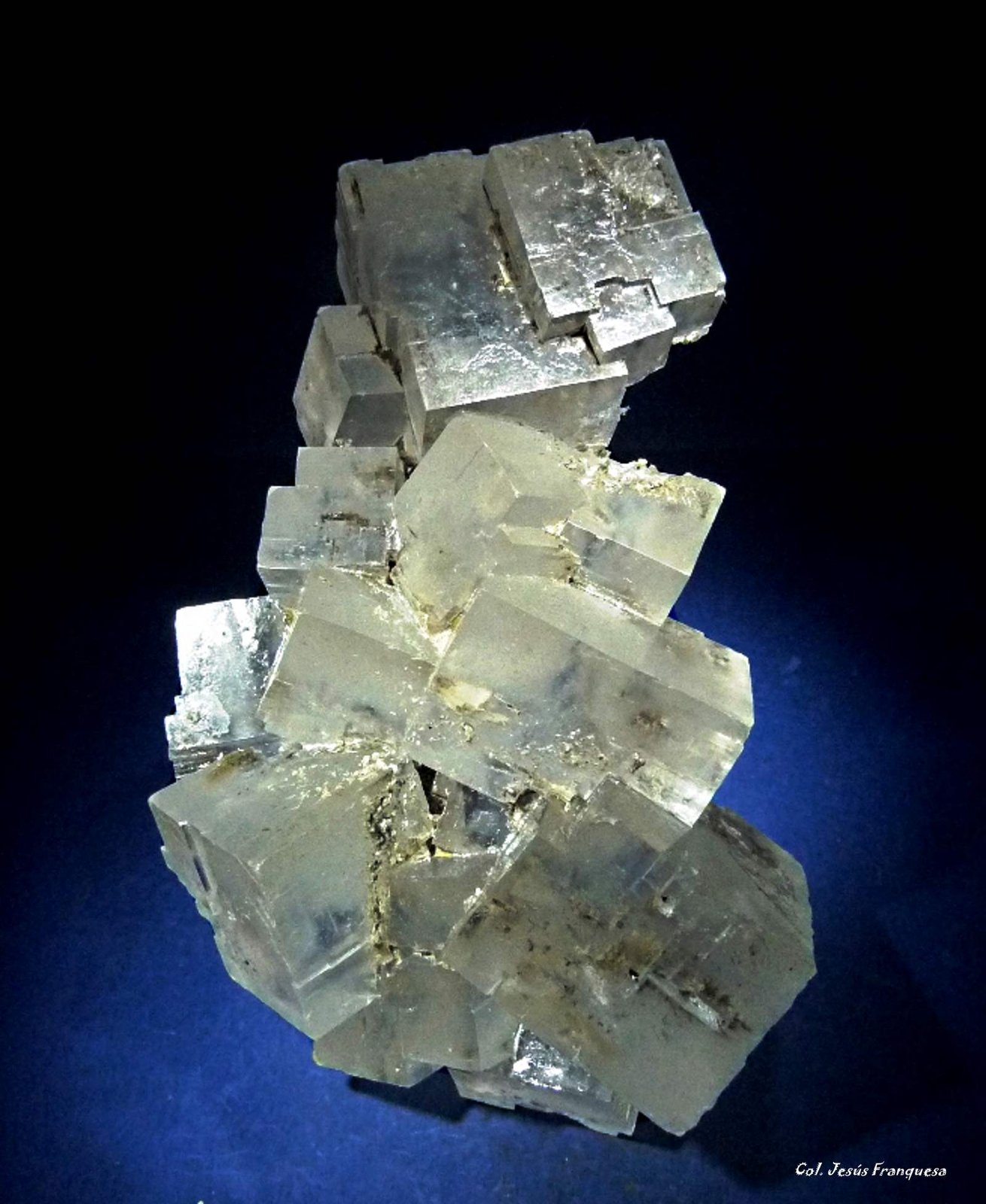 Halita
110x70 mm.
(Autor: Jesus Franquesa Baucells)
