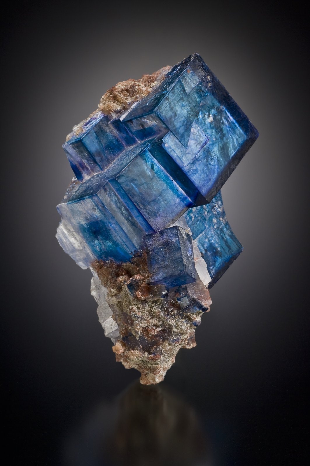 Halita
8.1 cm
(Autor: Jordi Fabre)