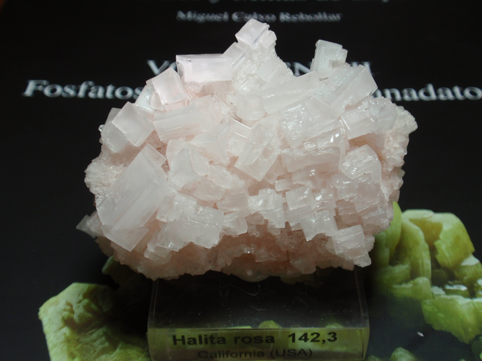 Halita
55x40 mm
(Autor: Ignacio)