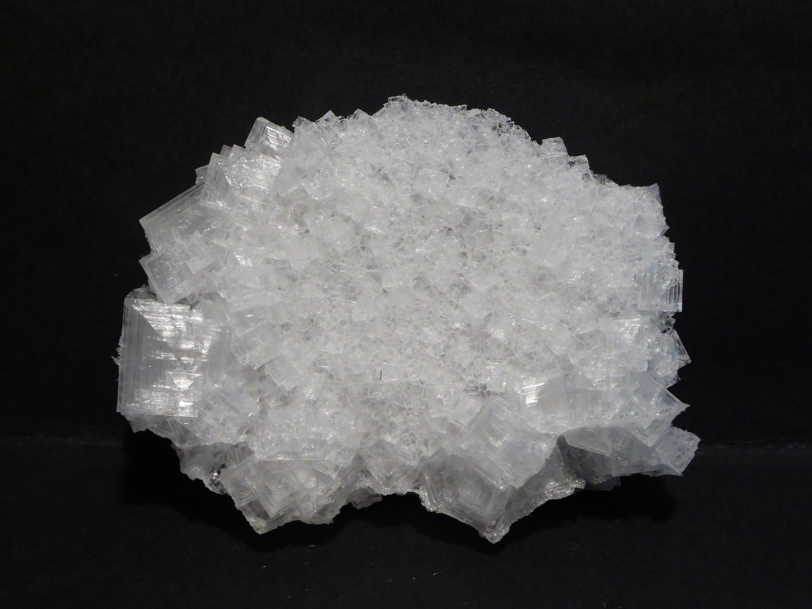 Halita
7,5 x 5 cm
(Autor: Ander Ispizua Juan)