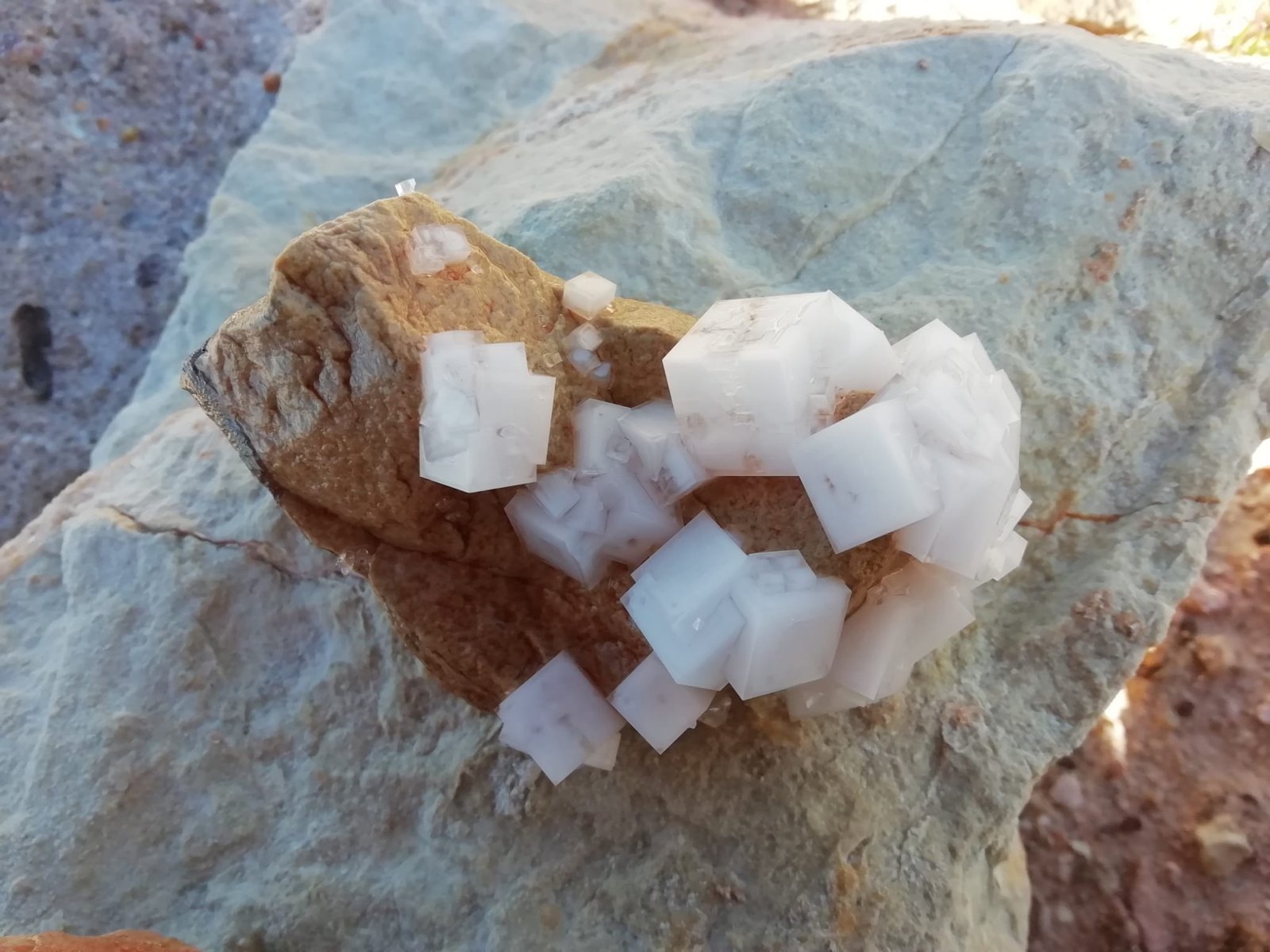 Halita
Cristal mayor 2 cm
(Autor: Cesar M. Salvan)