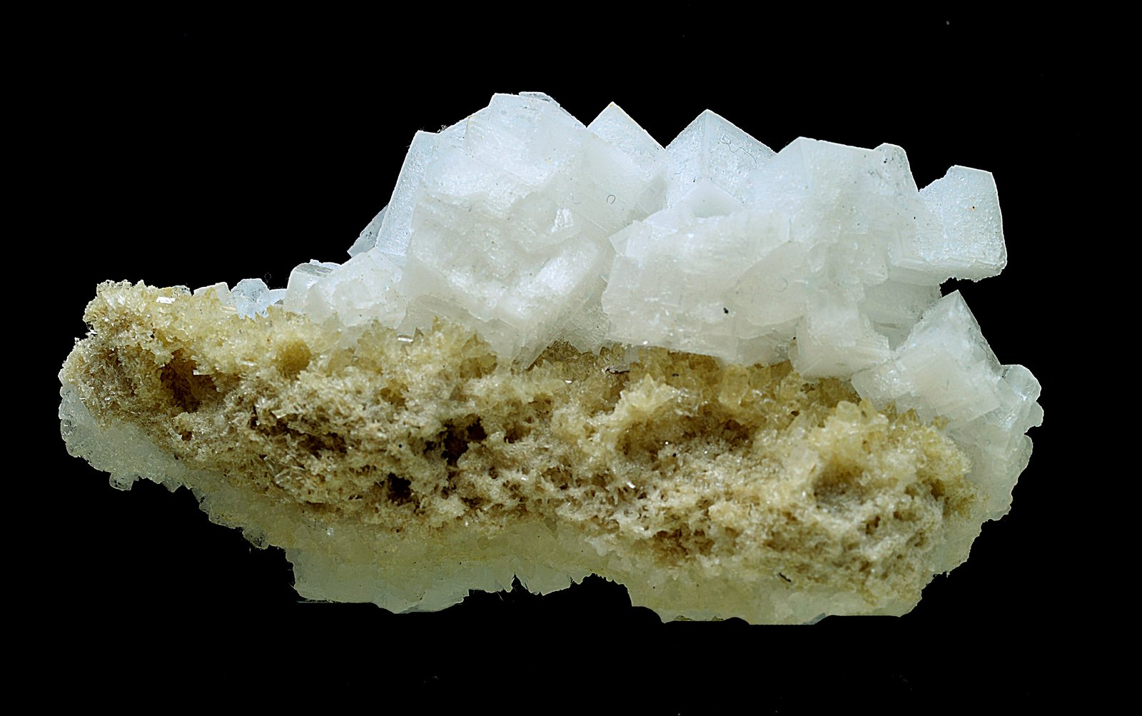 Halita
4 x 8 cm
(Autor: Antonio Carmona)