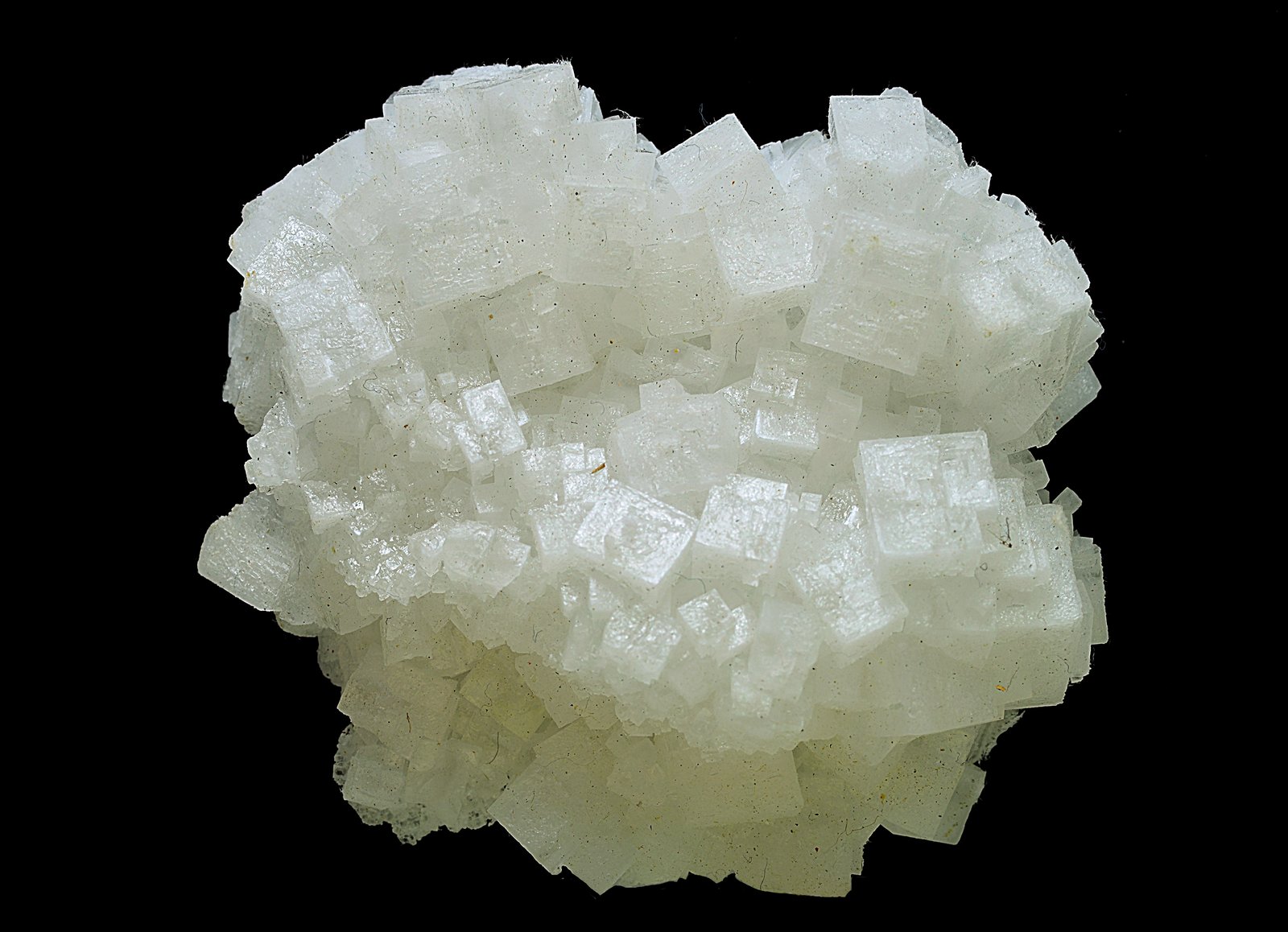 Halita
6 x 6 cm
(Autor: Antonio Carmona)