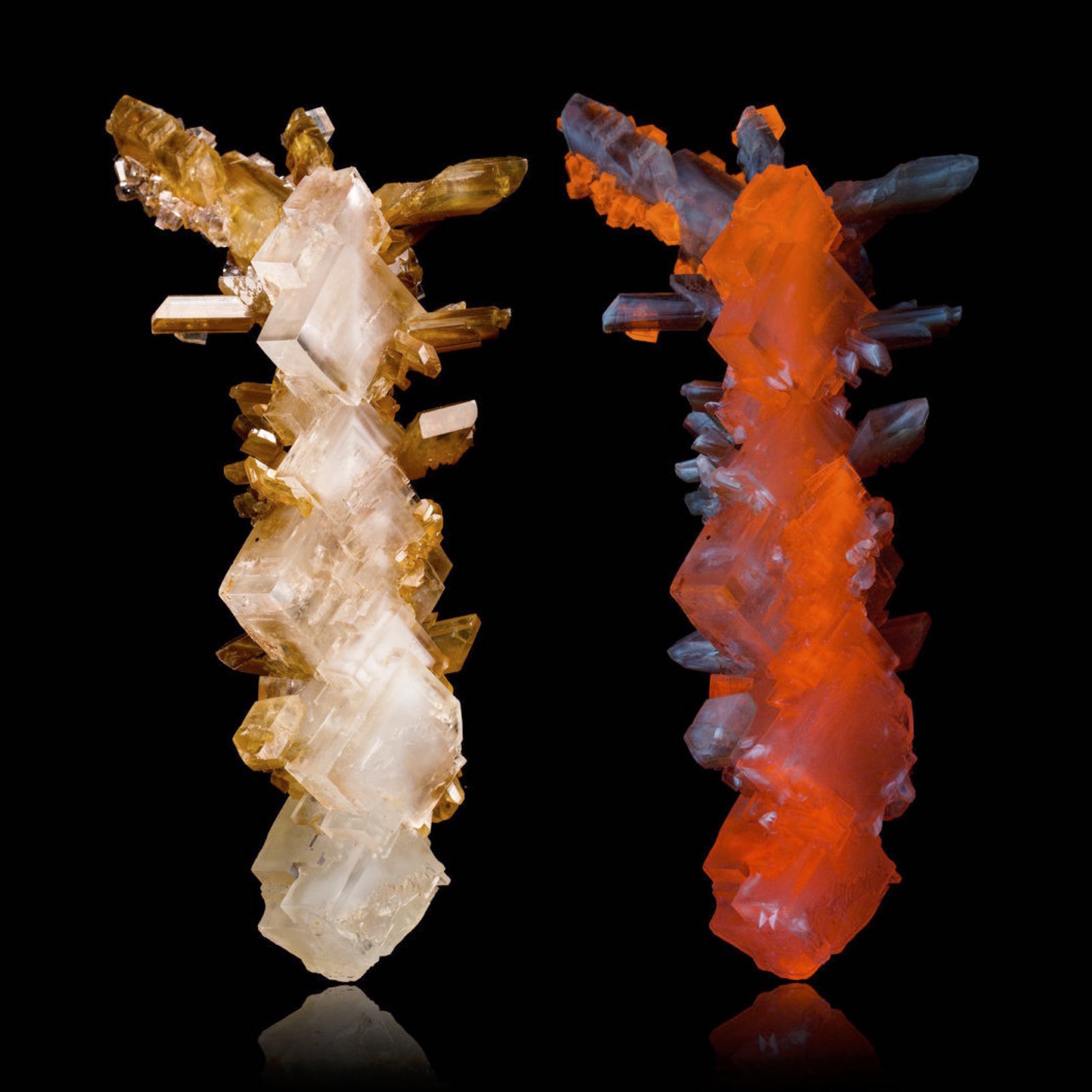Halita + Yeso
8,0 x 10,5 x 24,0 cm
(Autor: Josele)