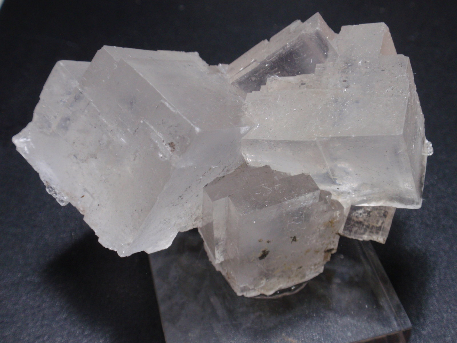 Halita
70x50 mm
(Autor: Ignacio)