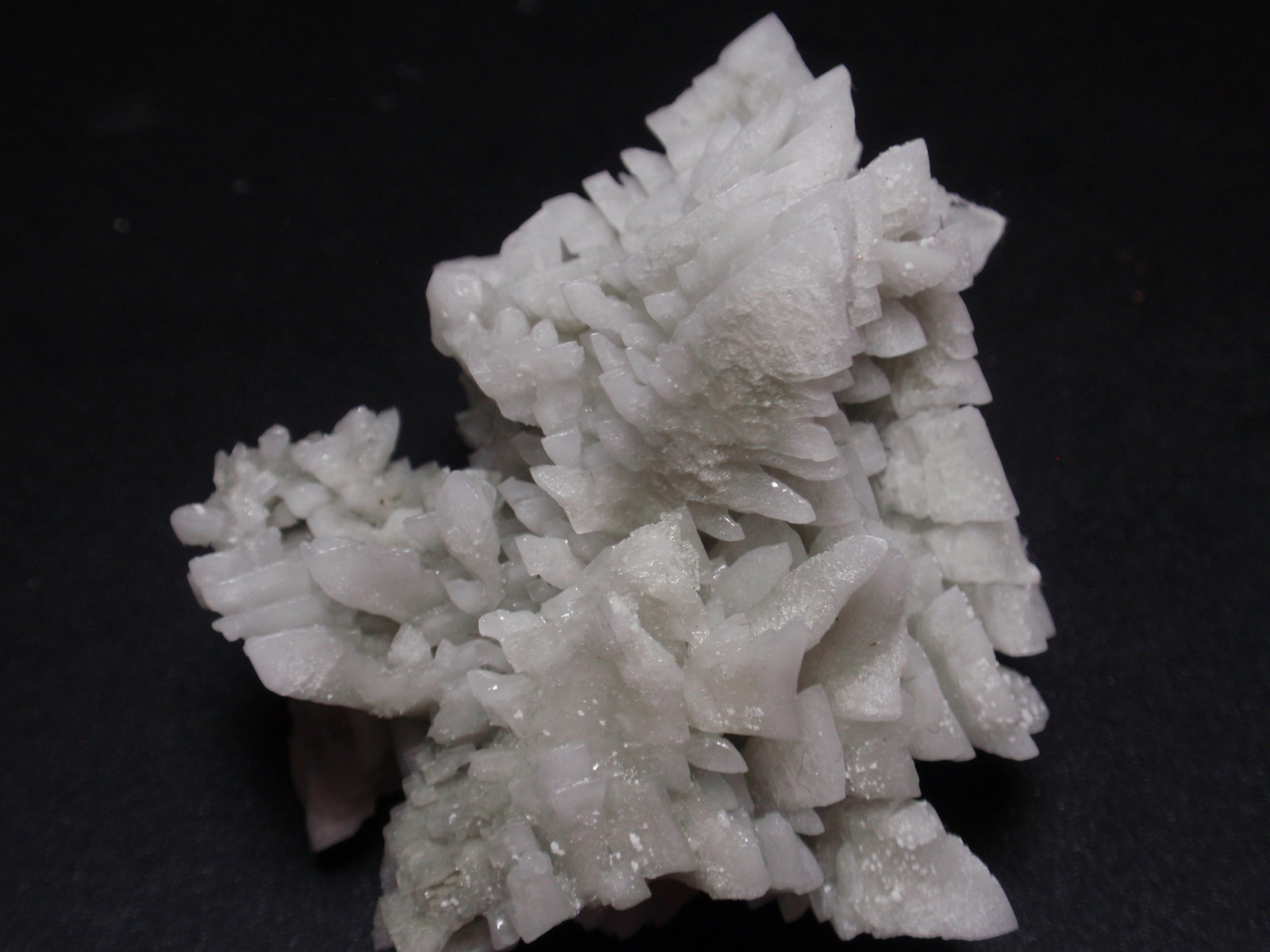Halita
60x70 mm
(Autor: Ignacio)