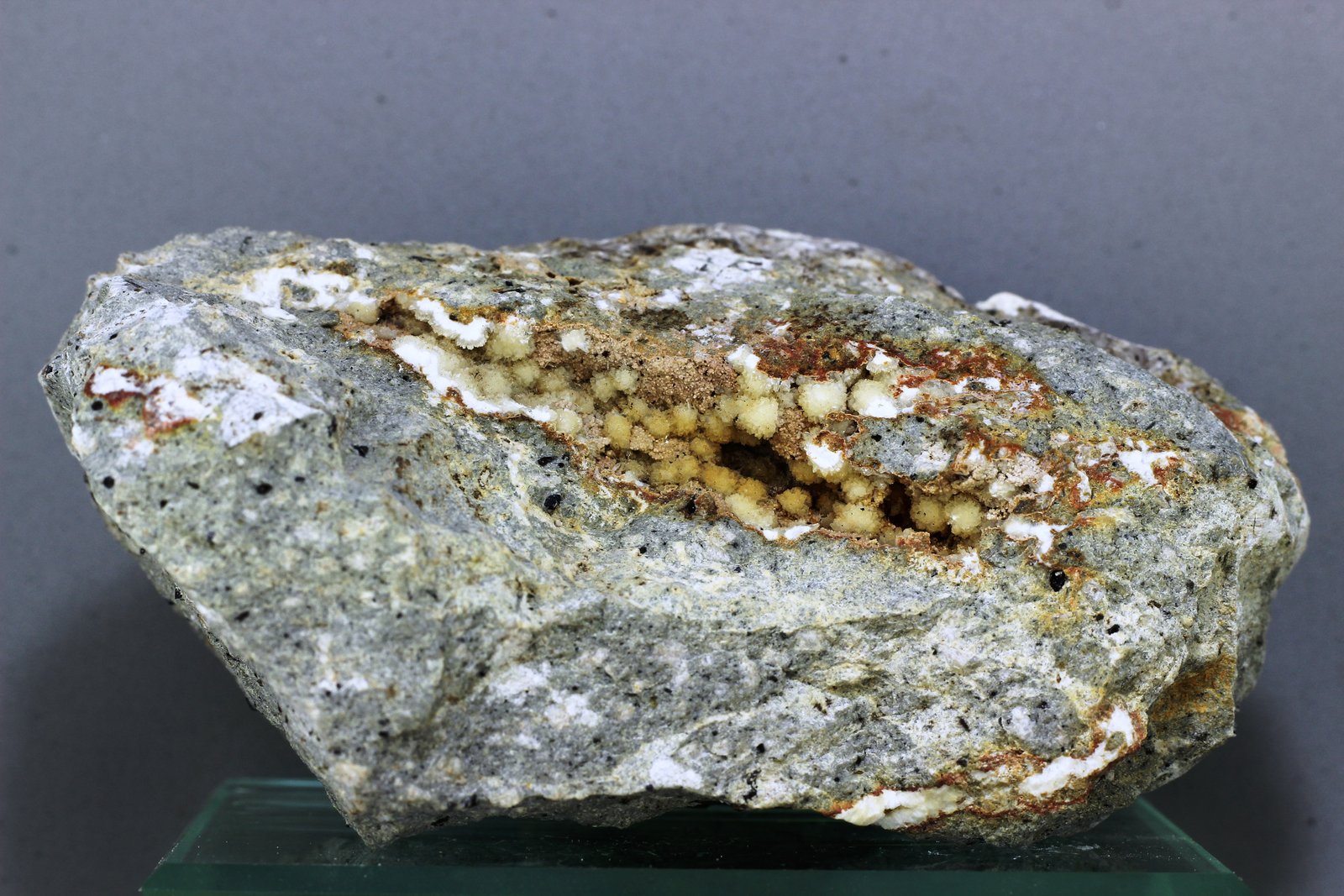 Harmotoma
95x40 mm
(Autor: Juan Espino)