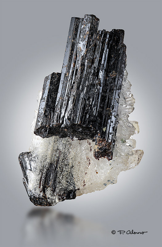 Hübnerita + Cuarzo
3cm x 6,5cm x 2,5cm
(Autor: Pere Alonso)