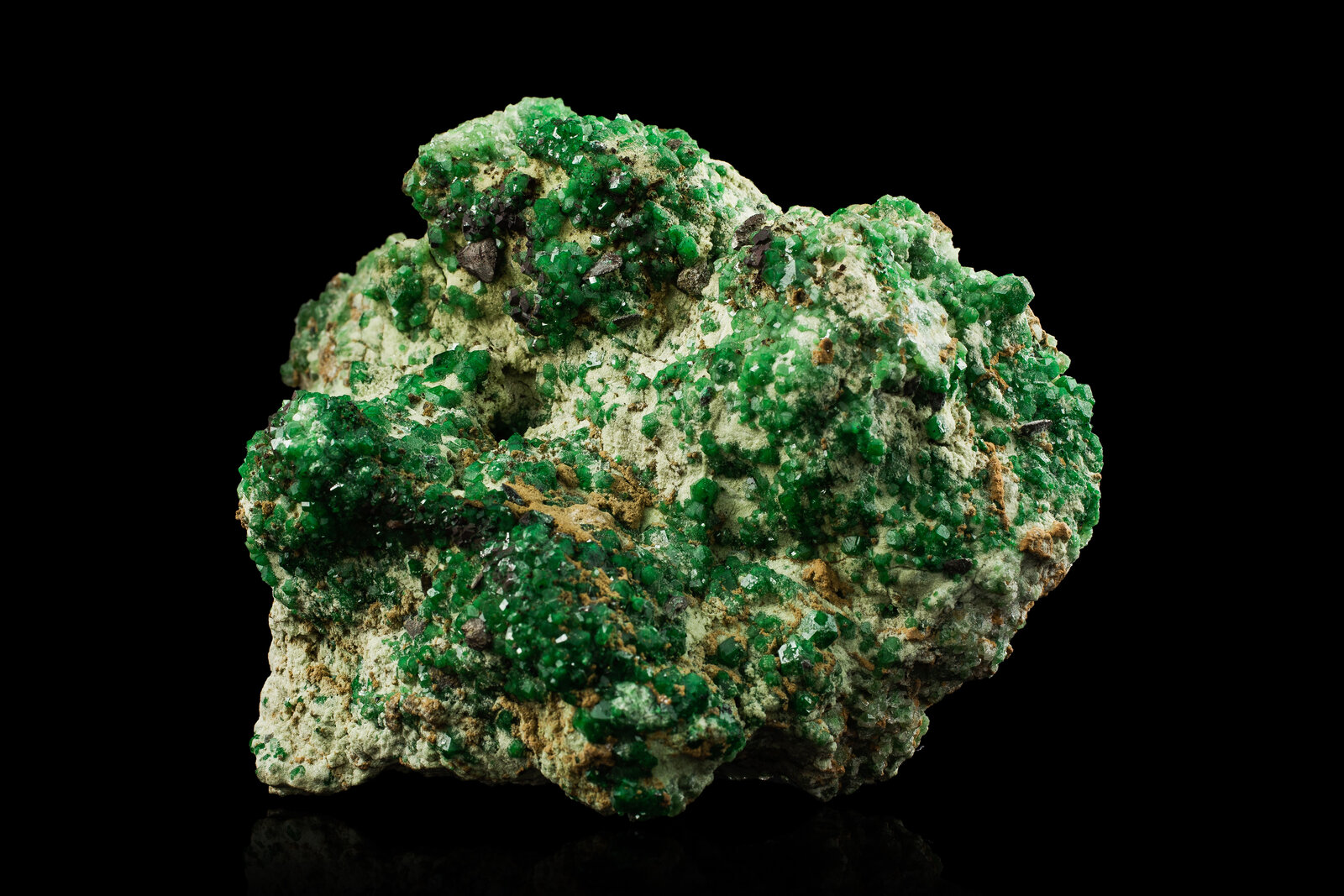 Heazlewoodita en Grosularia
Mina Jeffrey, Asbestos, Les Sources RCM, Estrie, Québec, Canadá
10.5 x 8 x 7 cm / Cristal principal: 0.6 cm
(Autor: Museo mim)