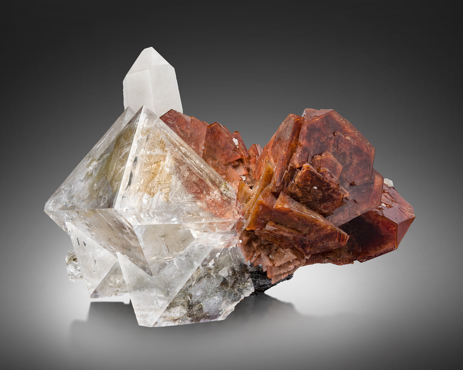Helvina, Fluorita y Cuarzo
8 x 5 x 6.5 cm / cristal principal: 2.9 cm
(Autor: Museo MIM)