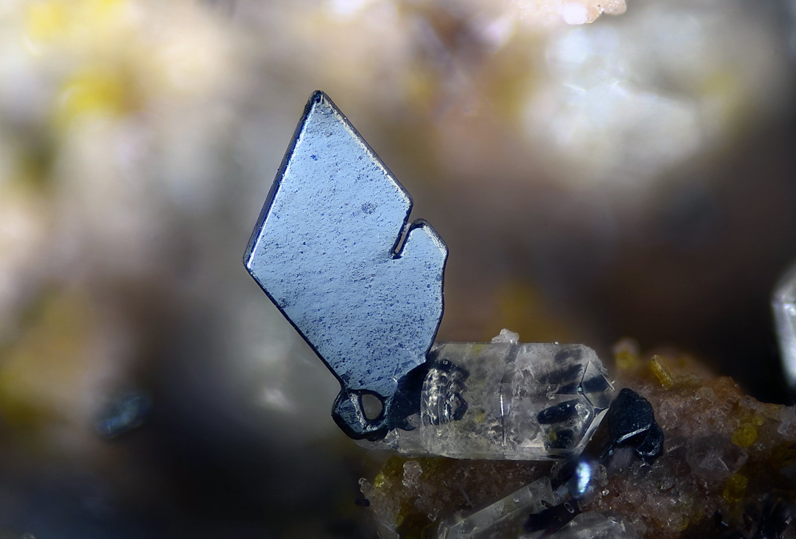 Hematites, Fluorapatito
Campo de visión 2,4 mm
(Autor: Juan Miguel)