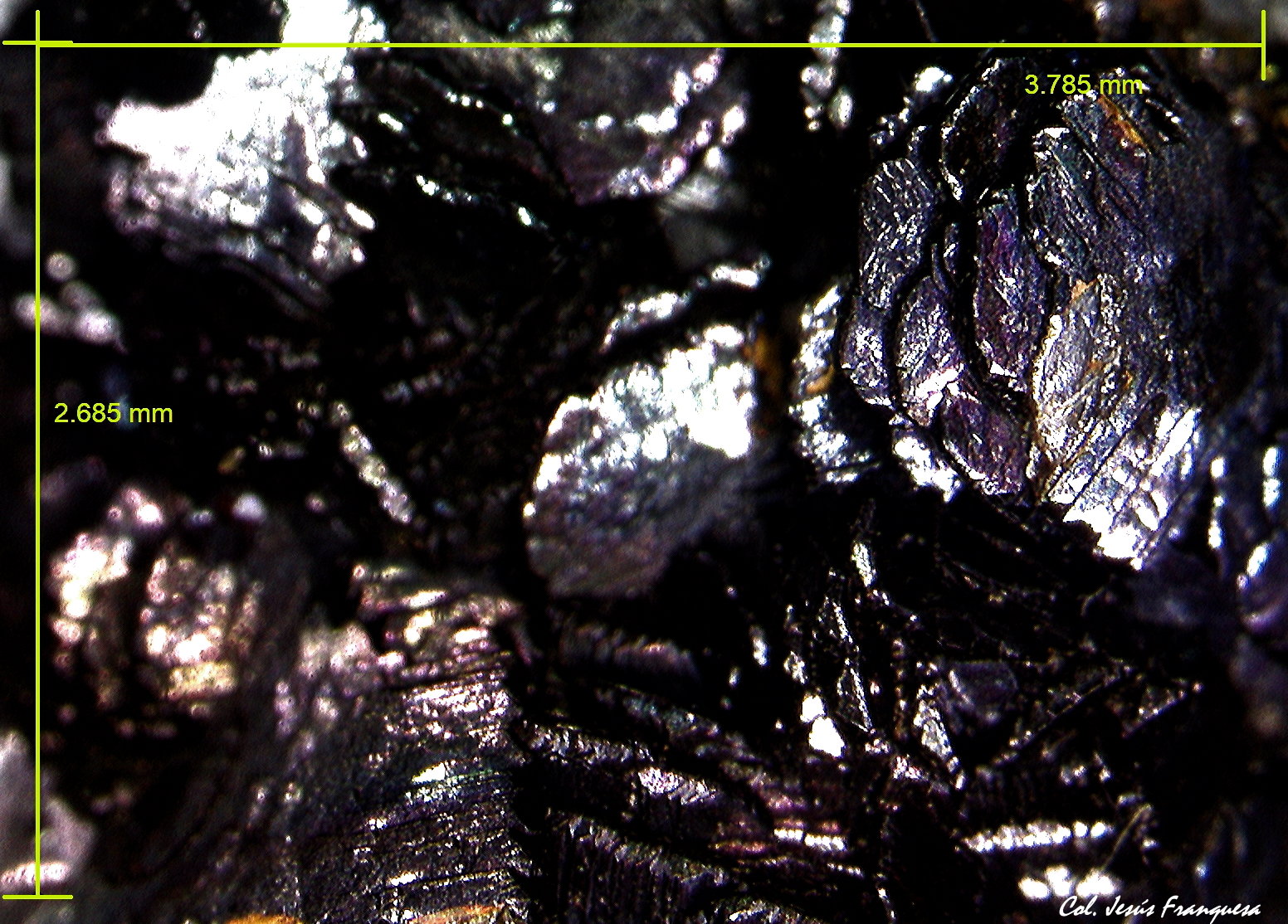 Hematites.
3´78 x 2´68 mm.
(Autor: Jesus Franquesa Baucells)