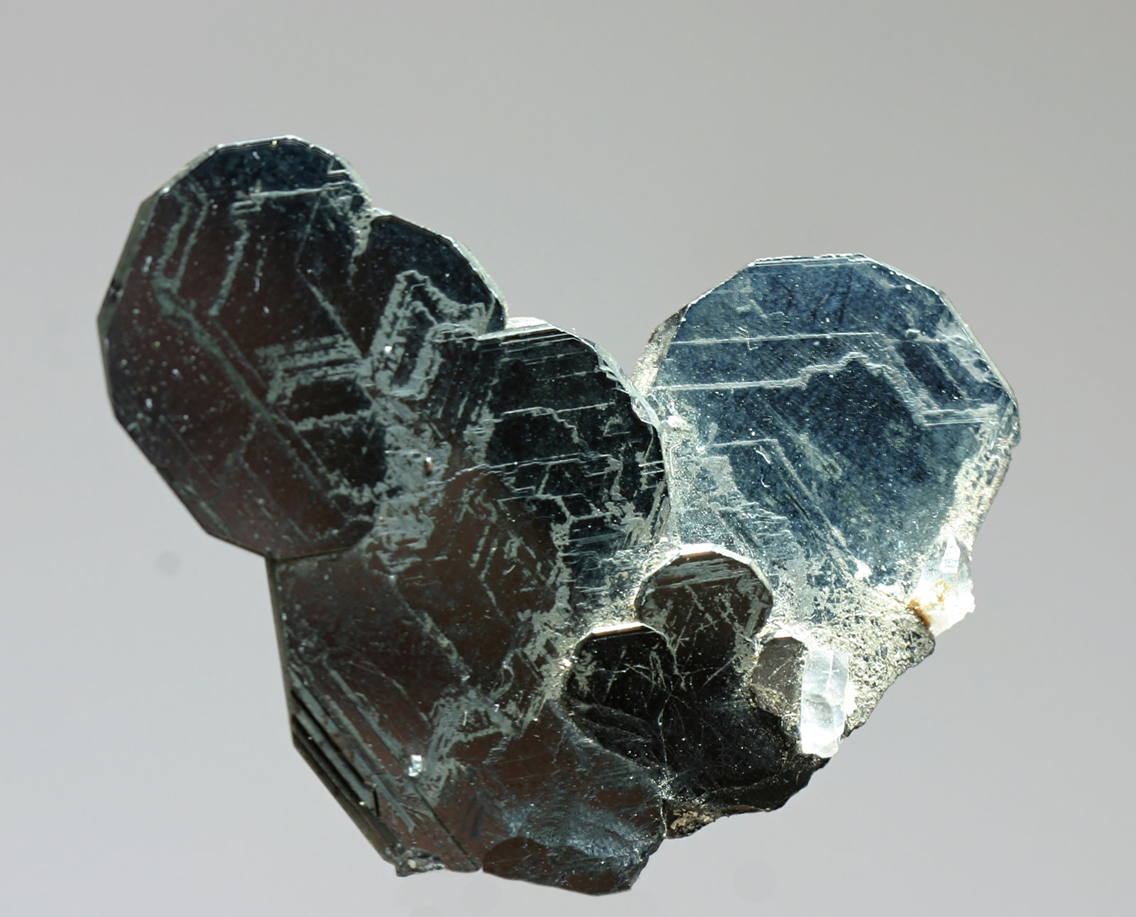Hematites
45x40 mm
(Autor: Ramon A  Lopez Garcia)