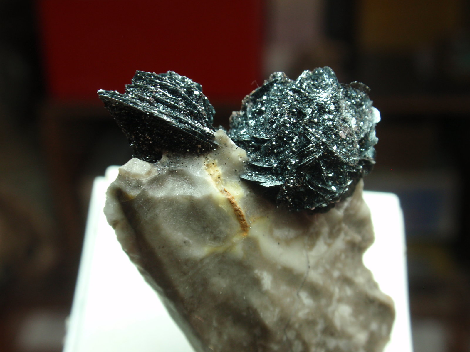 Hematites
25x35 mm
(Autor: Ignacio)