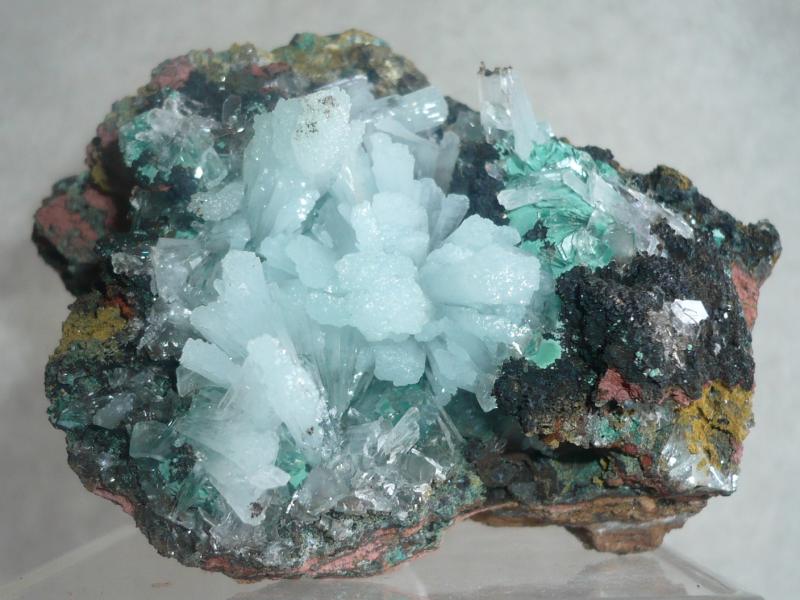 (Autor: Carlos Medina)