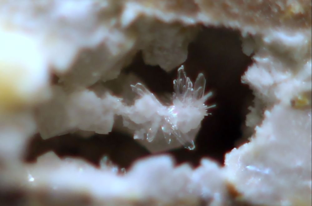 Hemimorfita
0,5 mm
(Autor: José Luis Zamora)
