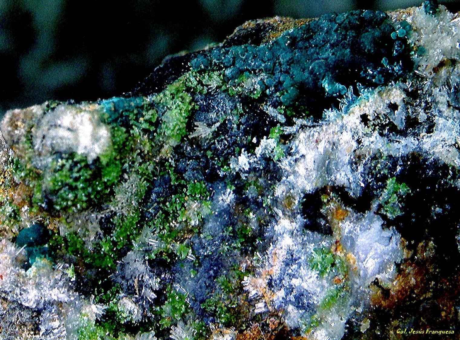 Hemimorfita, Duftita y Crisocola.
6´349 x 4´899 mm.
(Autor: Jesus Franquesa Baucells)