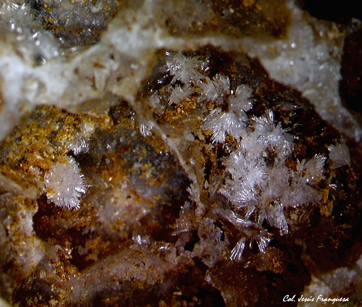 Hemimorfita.
4´804 x 3´679 mm.
(Autor: Jesus Franquesa Baucells)