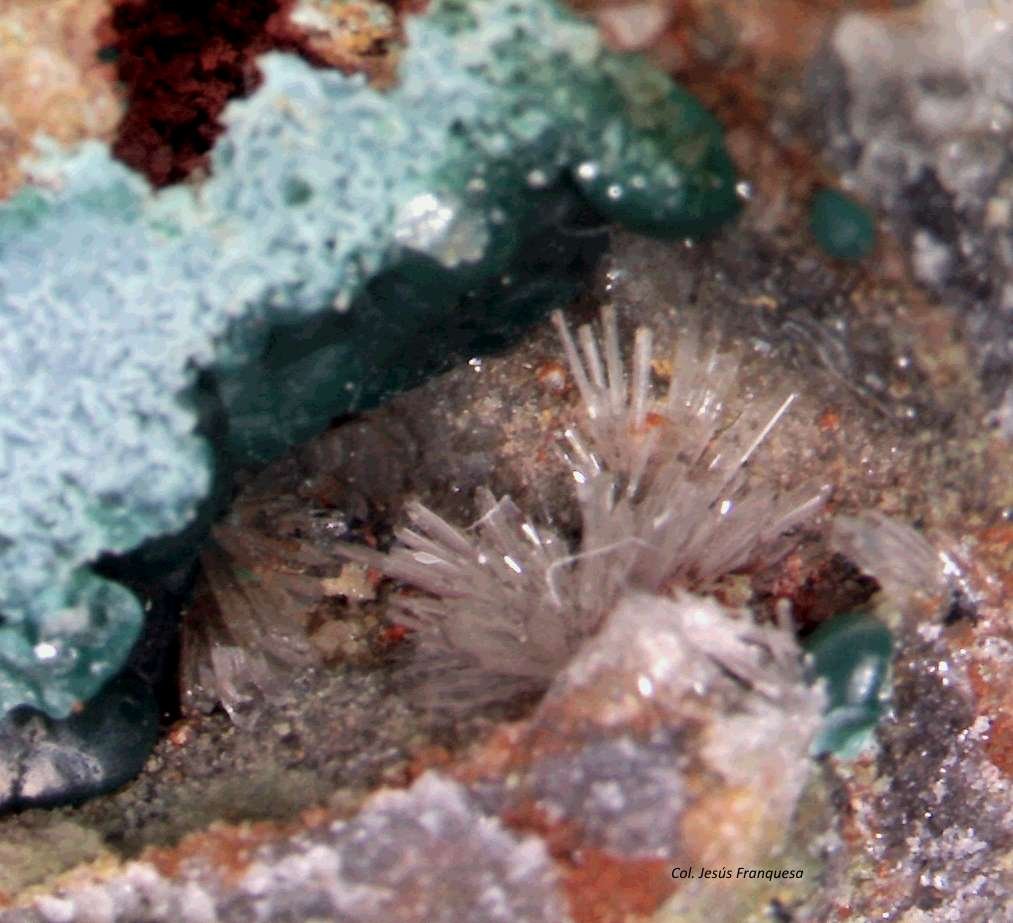 Hemimorfita y Rosasita.
1´083 x 0´805 mm.
(Autor: Jesus Franquesa Baucells)