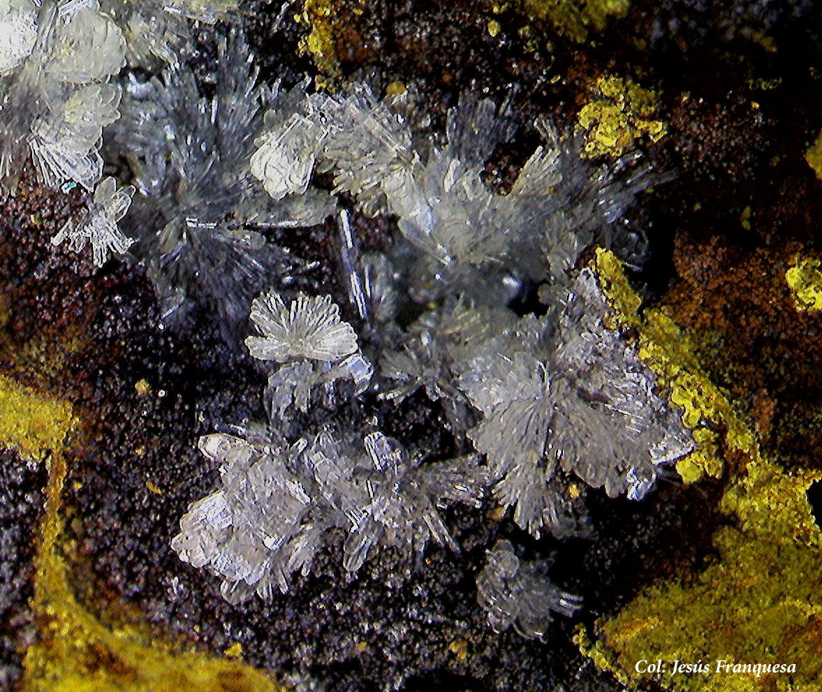 Hemimorfita.
4´26 x 4´12 mm.
(Autor: Jesus Franquesa Baucells)