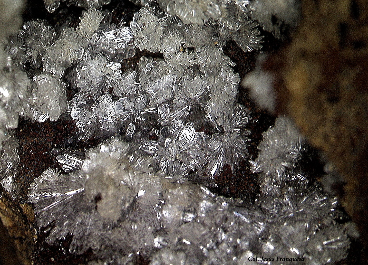 Hemimorfita
5´76 x 4'49 mm.
(Autor: Jesus Franquesa Baucells)