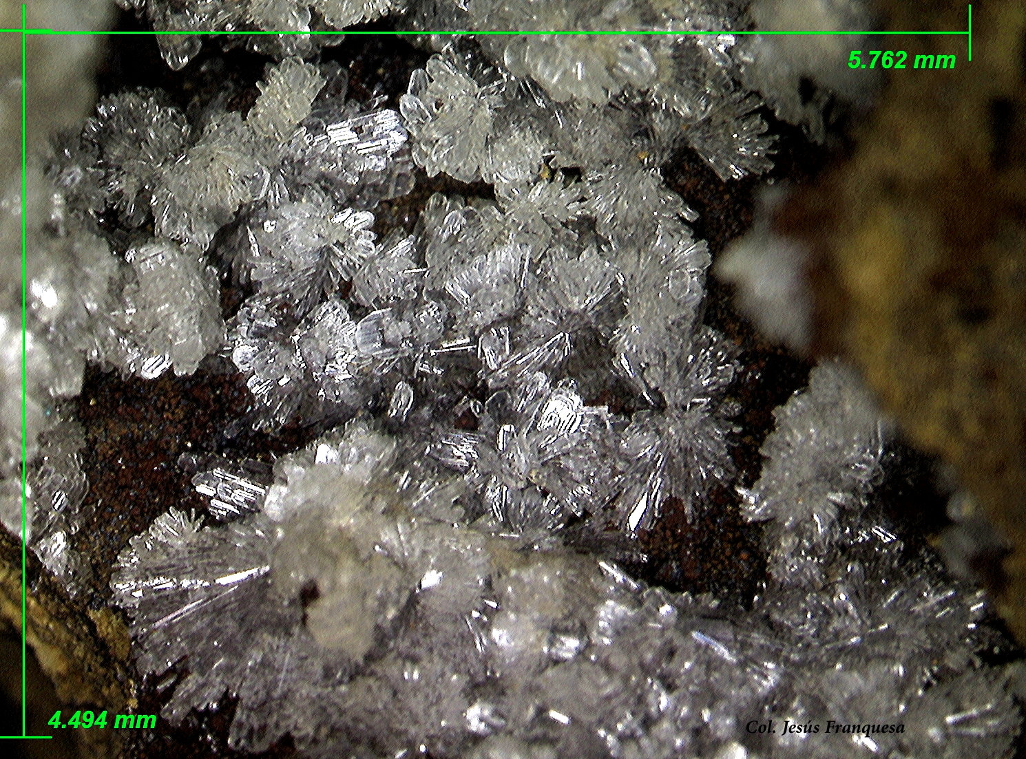 Hemimorfita
5´76 x 4'49 mm.
(Autor: Jesus Franquesa Baucells)