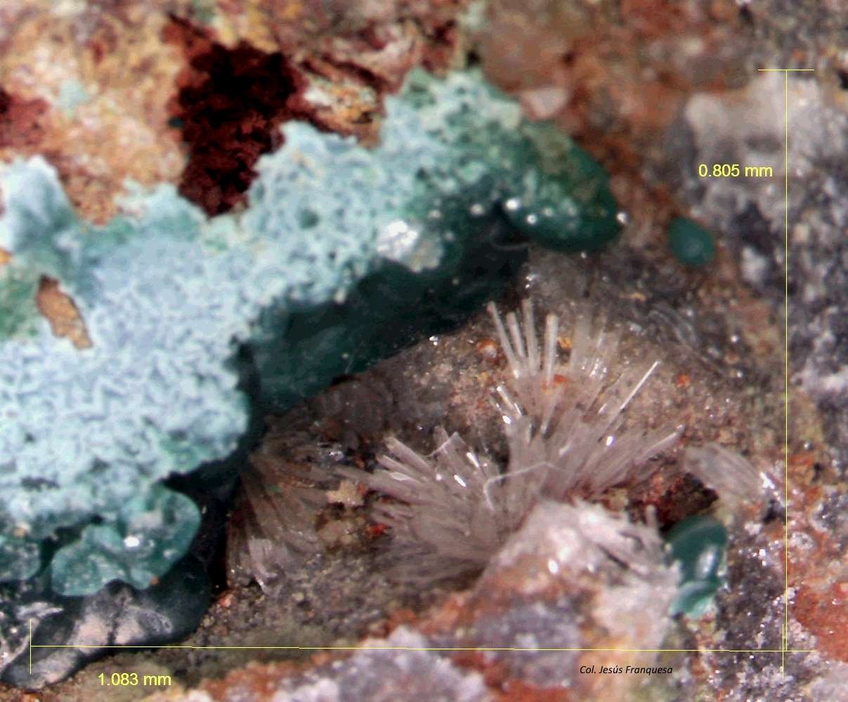 Hemimorfita y Rosasita.
1´083 x 0´805 mm.
(Autor: Jesus Franquesa Baucells)