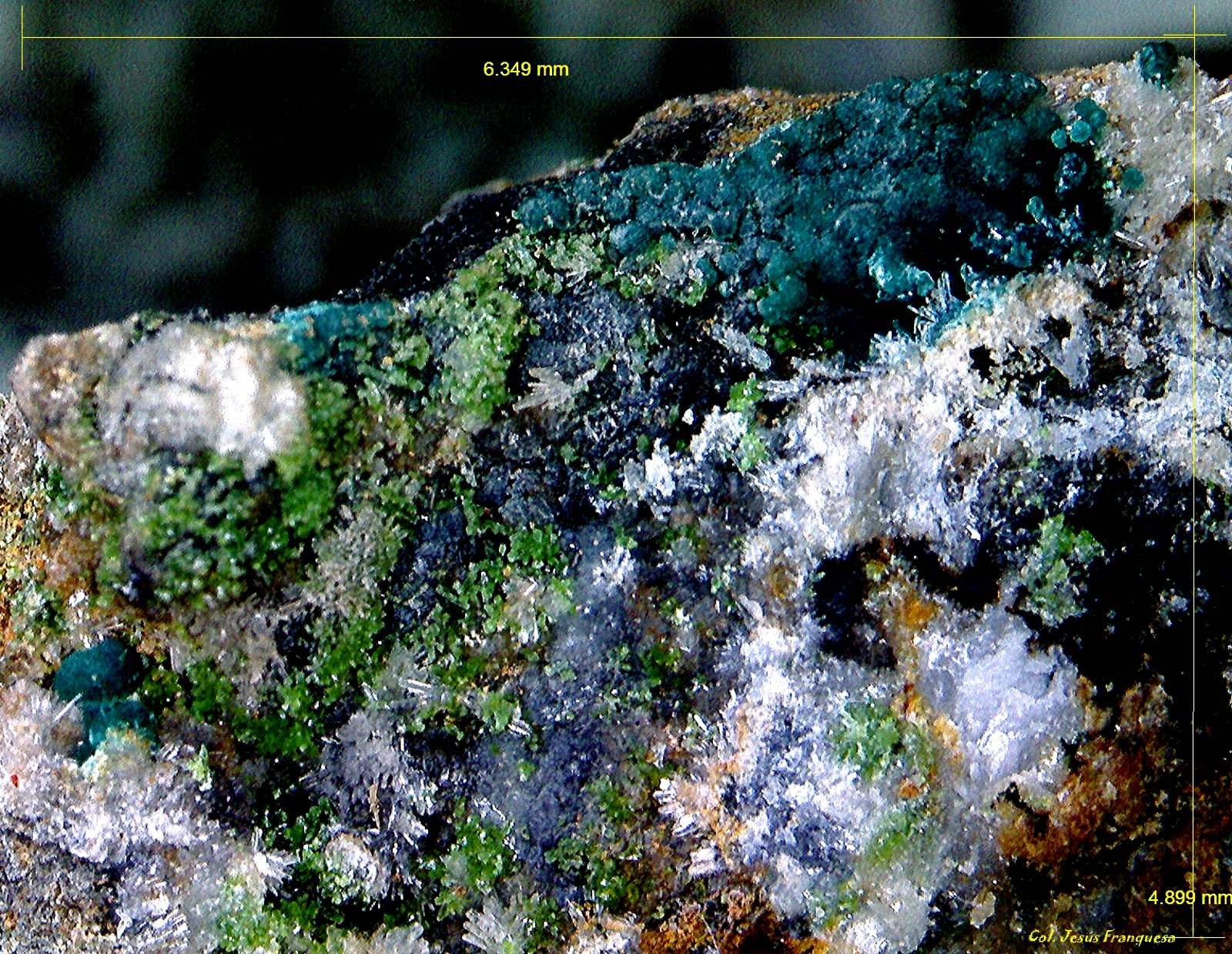 Hemimorfita, Duftita y Crisocola.
6´349 x 4´899 mm.
(Autor: Jesus Franquesa Baucells)