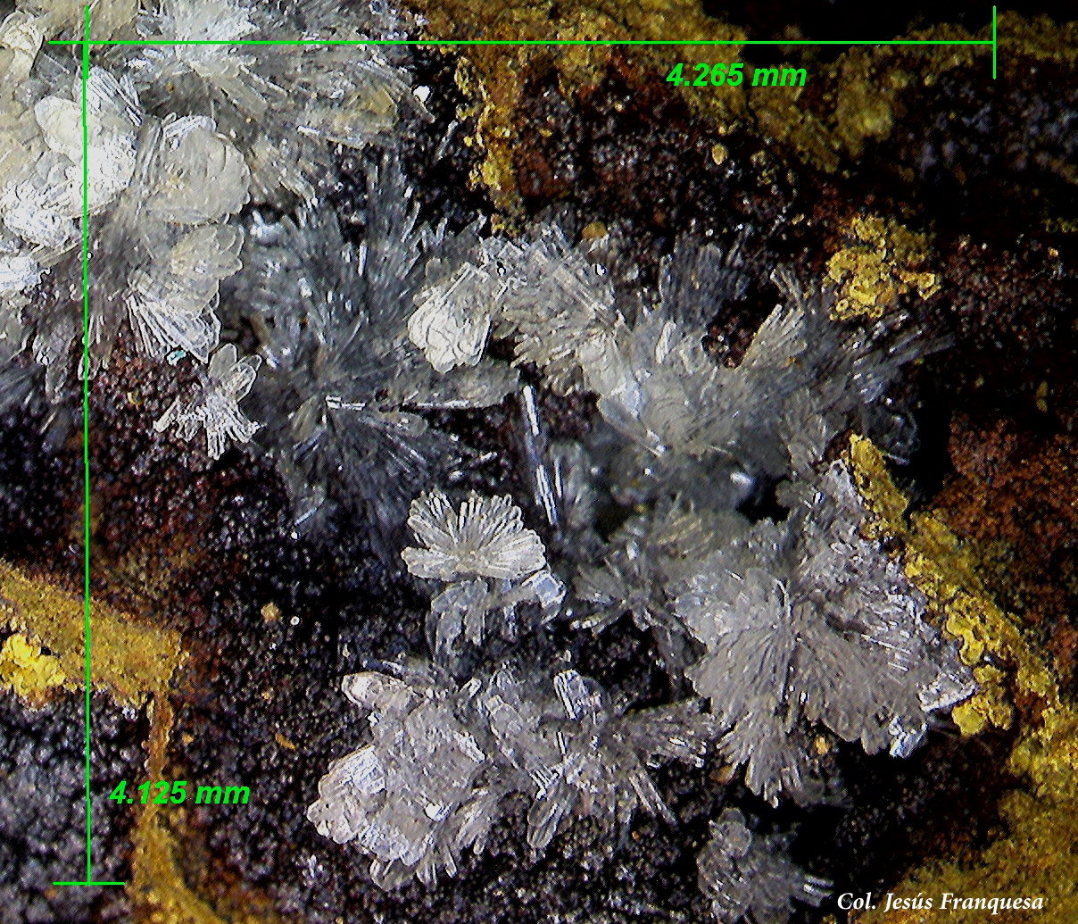 Hemimorfita.
4´26 x 4´12 mm.
(Autor: Jesus Franquesa Baucells)