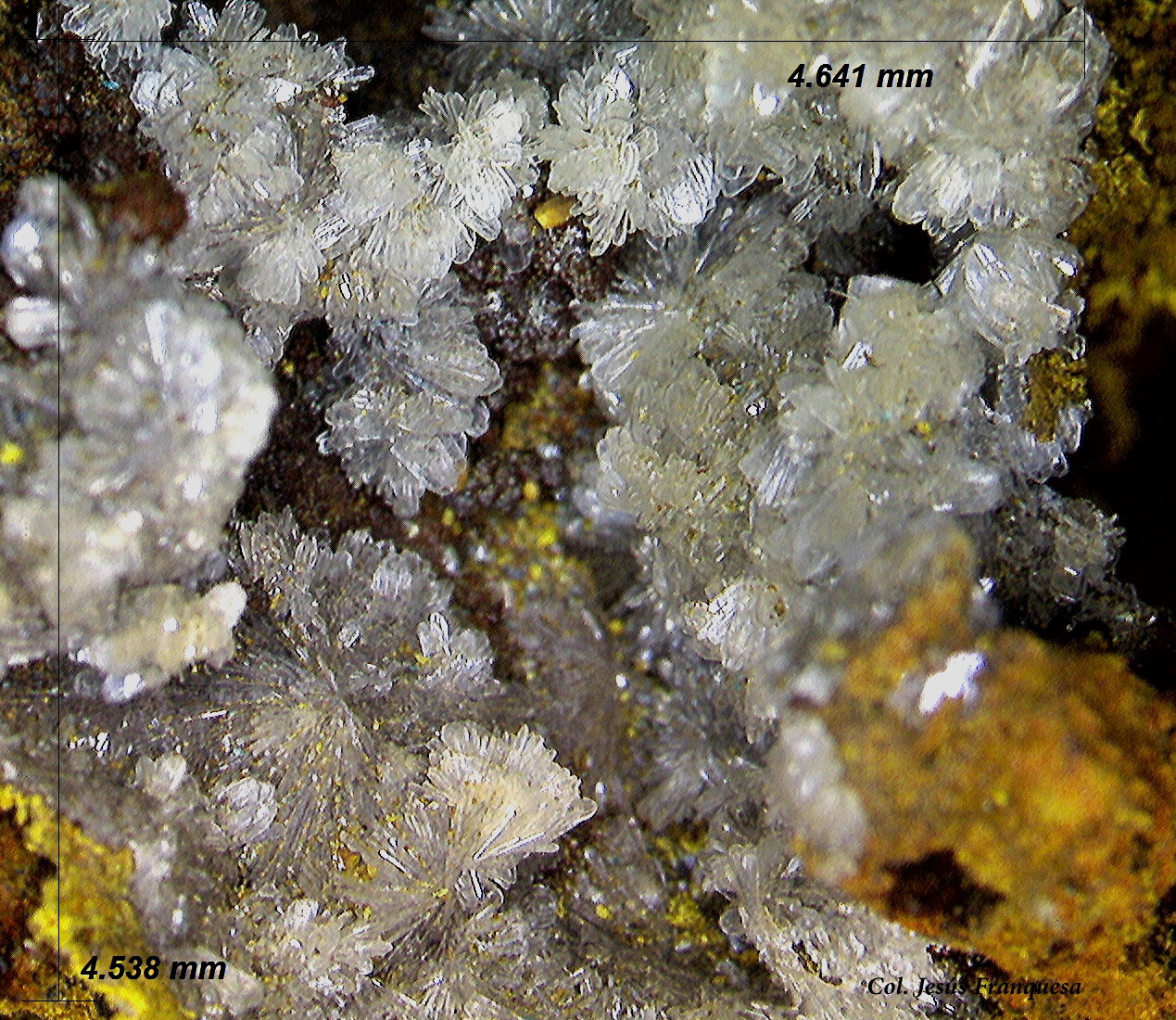 Hemimorfita
4´64 x 4´53 mm.
(Autor: Jesus Franquesa Baucells)