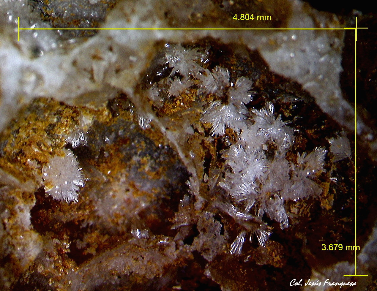 Hemimorfita.
4´804 x 3´679 mm.
(Autor: Jesus Franquesa Baucells)