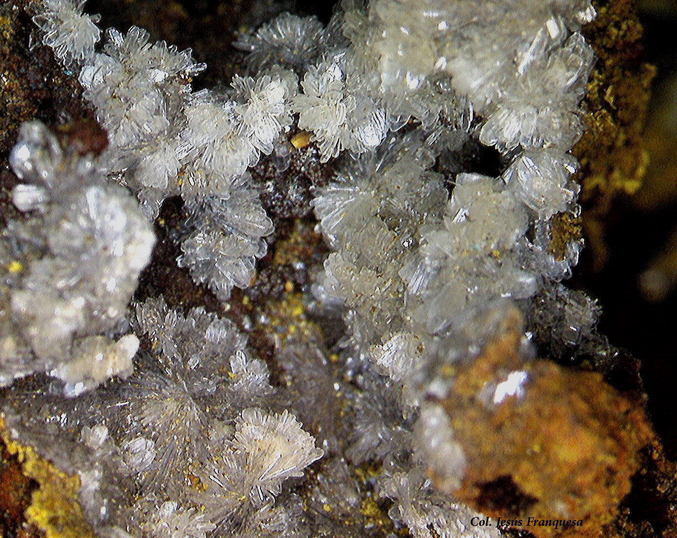 Hemimorfita
4´64 x 4´53 mm.
(Autor: Jesus Franquesa Baucells)