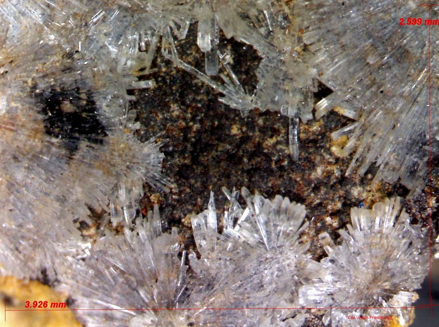 Hemimorfita.
3´926 x 2´599 mm.
(Autor: Jesus Franquesa Baucells)