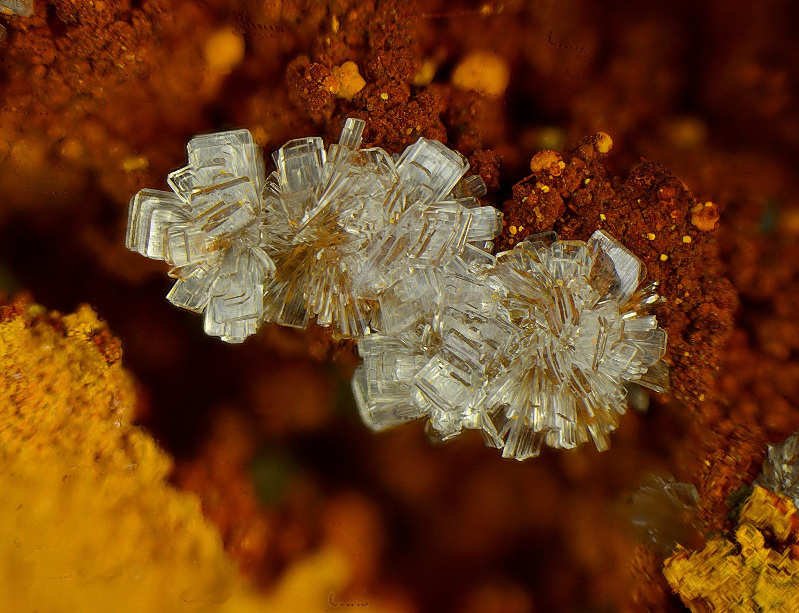 Hemimorfita
Campo de visión de 4 mm.
(Autor: Antonio Carmona)