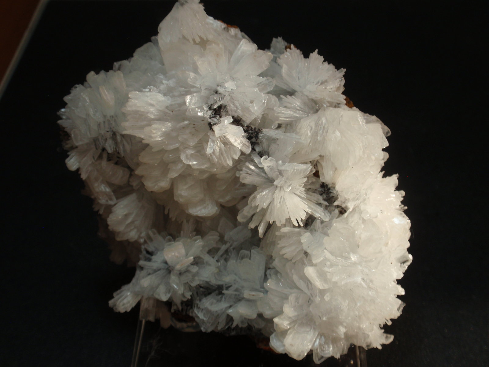 Hemimorfita
70x70 mm
(Autor: Ignacio)