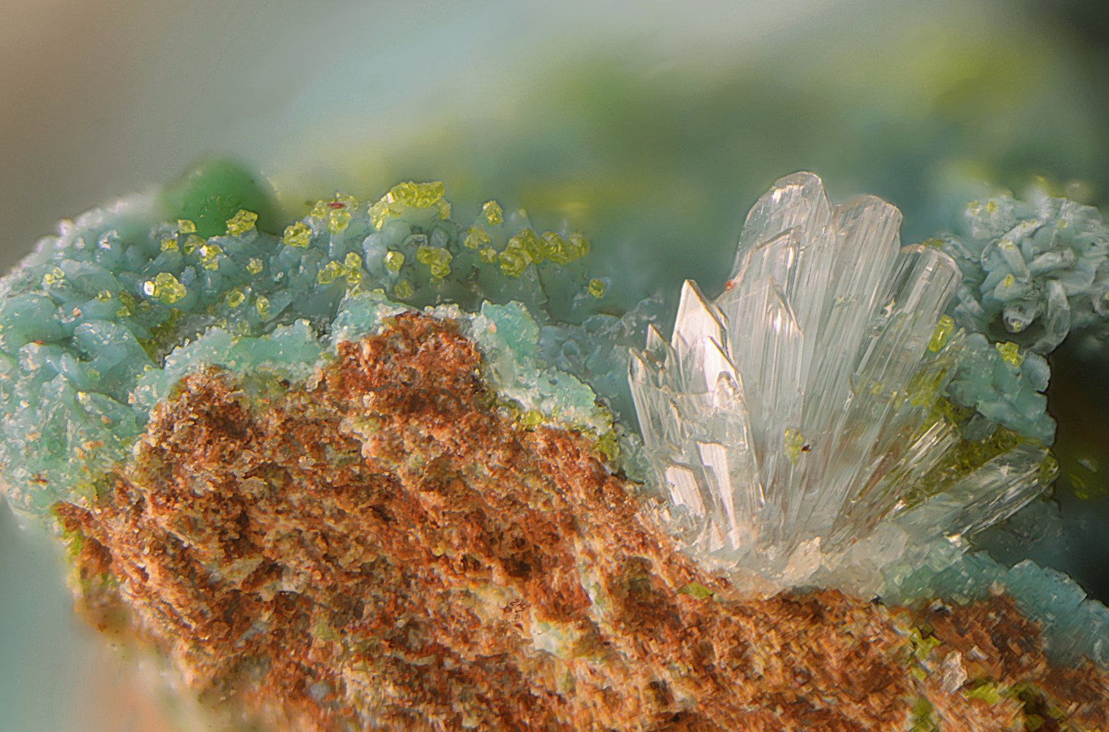 Hemimorfita, duftita, rosasita y malaquita.
Campo de visión de 5 mm.
(Autor: Antonio Carmona)