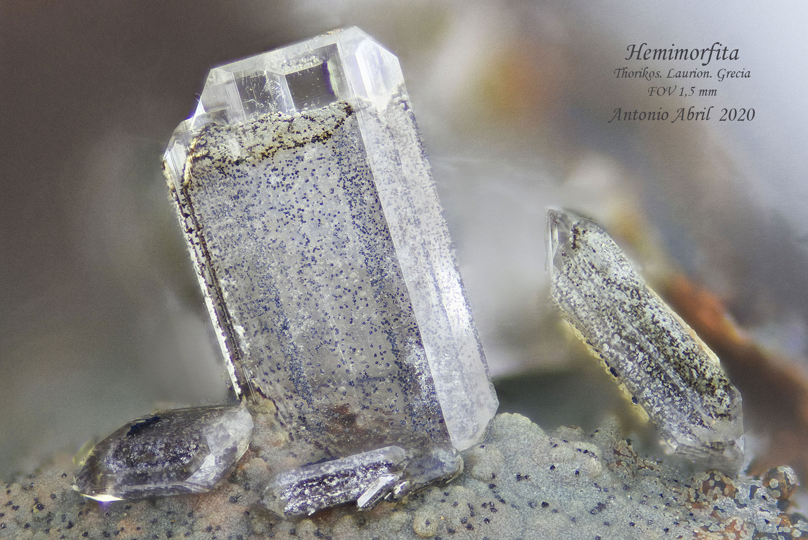 Hemimorfita
1.5 mm
(Autor: Antonio Abril)