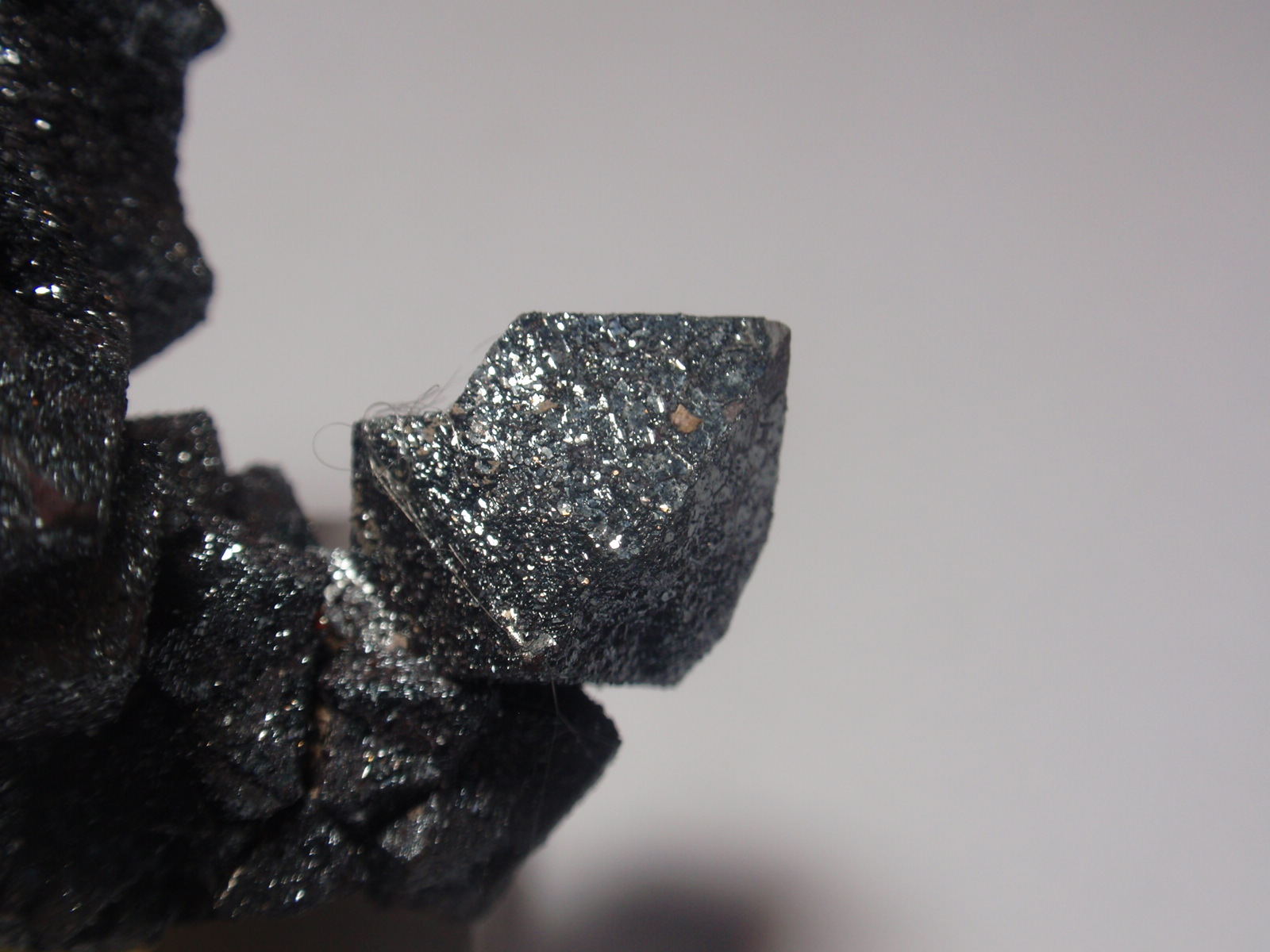 Hematites pseudomorfizando Magnetita (variedad martita)
10x10 mm
(Autor: Ignacio)