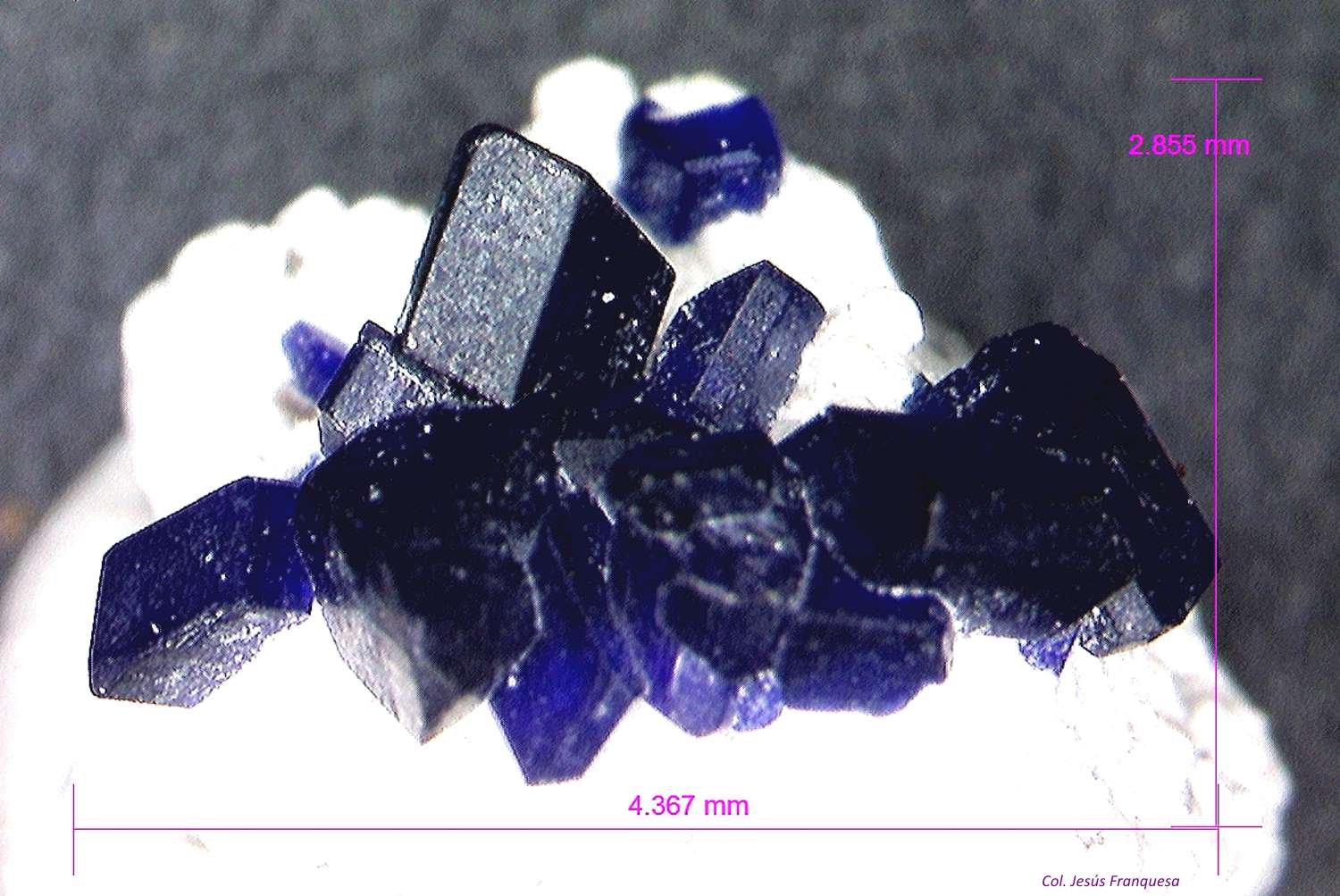 Henmilita.
4´367 x 2´855 mm.
(Autor: Jesus Franquesa Baucells)