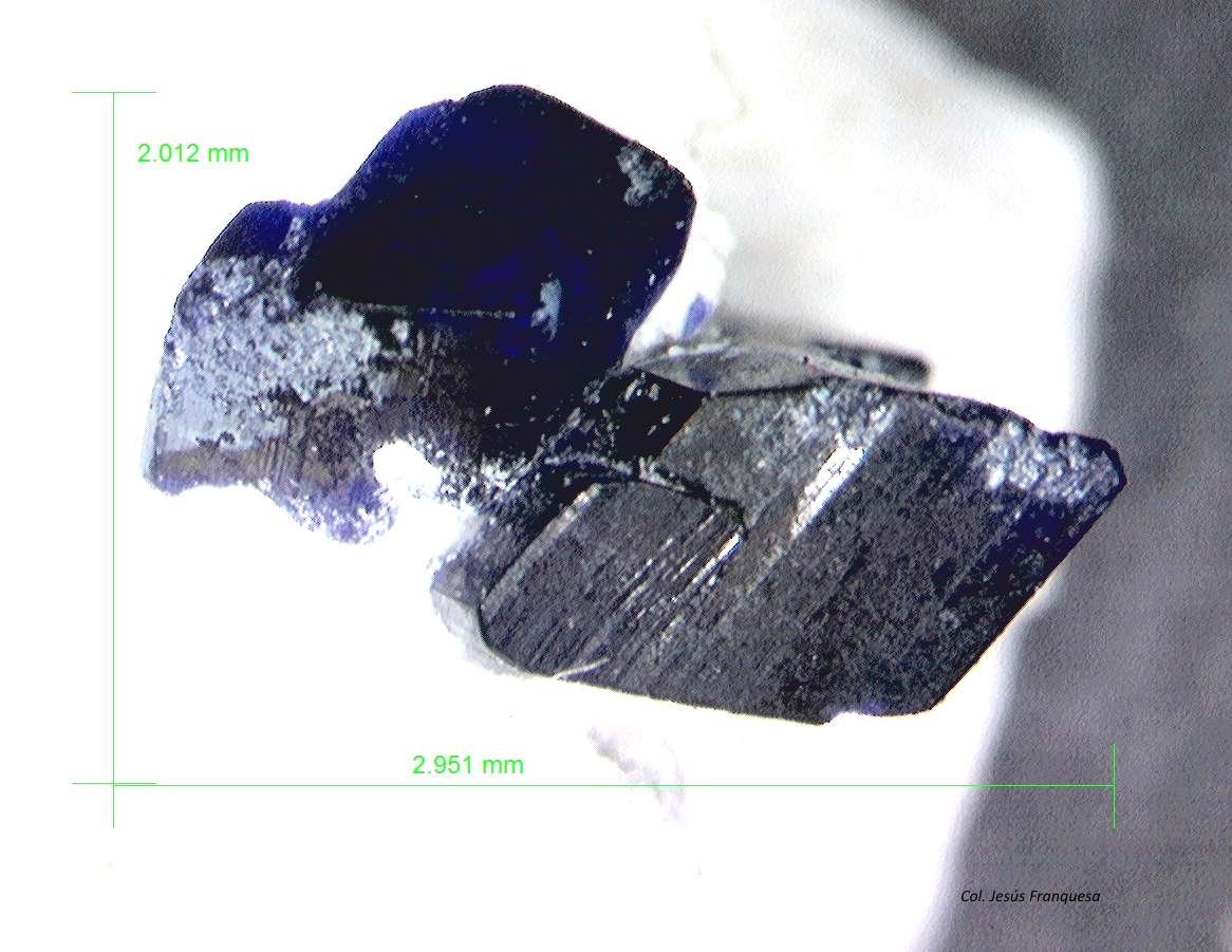 Henmilita
2´951 x 2´012 mm.
(Autor: Jesus Franquesa Baucells)