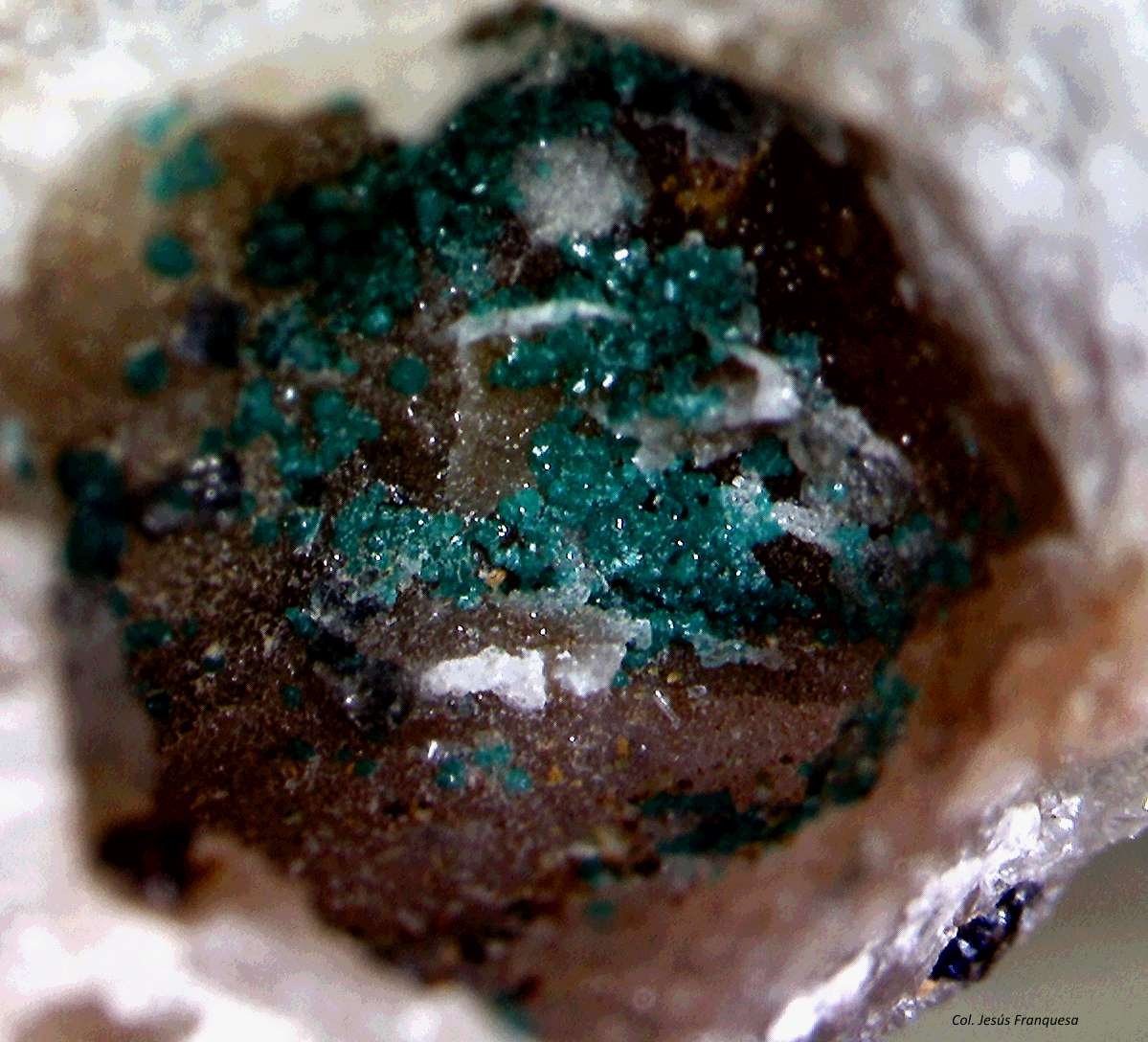 Herbertsmithita
3´248 x 3´062mm.
(Autor: Jesus Franquesa Baucells)
