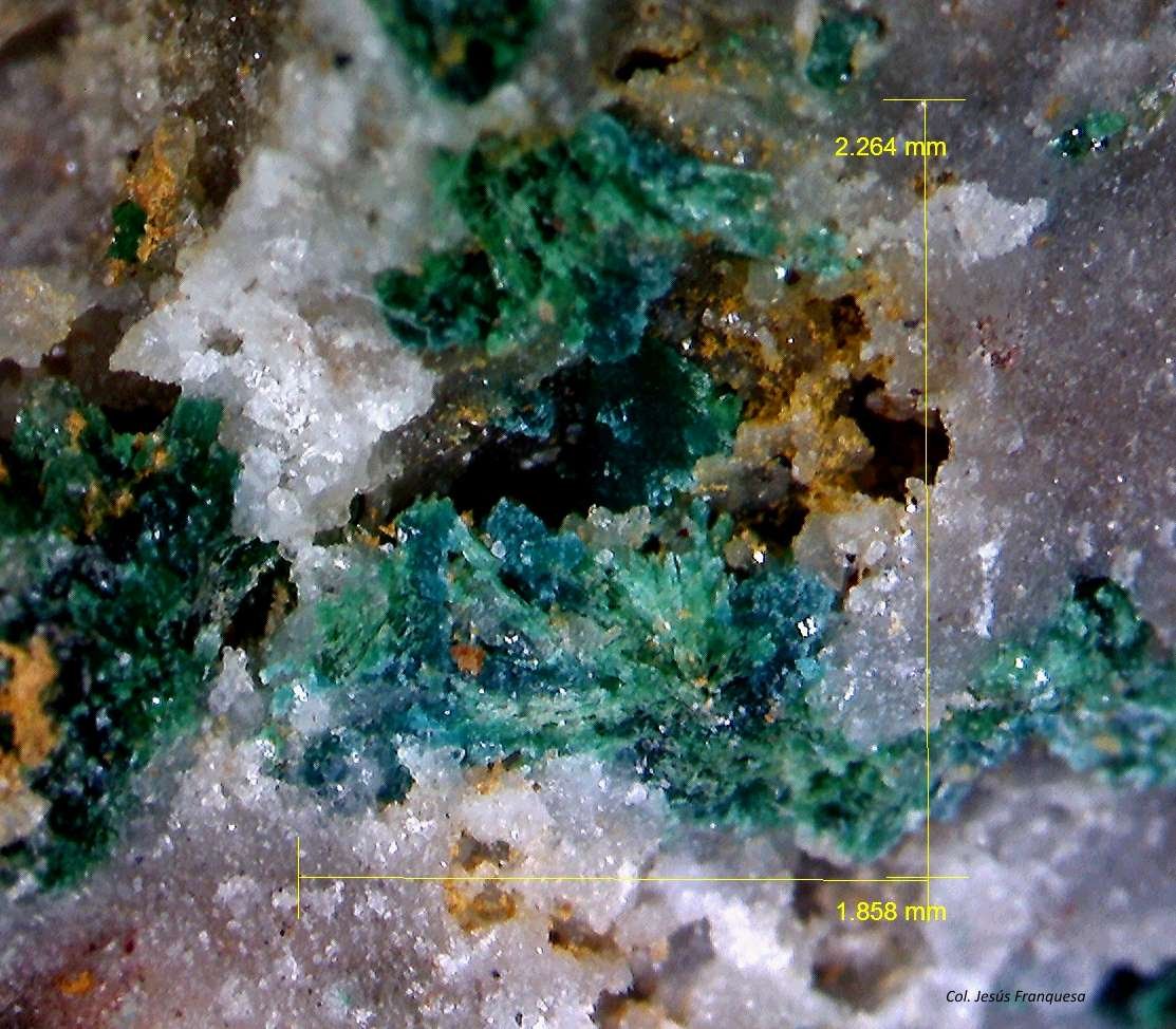 Herbertsmithita y Malaquita.
2´264 x 1´858 mm.
(Autor: Jesus Franquesa Baucells)