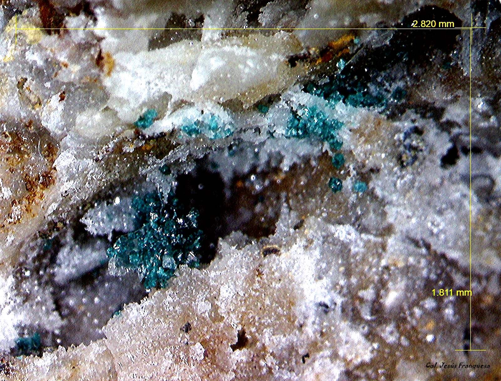 Herbertsmithita.
2´820 x 1´811 mm.
(Autor: Jesus Franquesa Baucells)