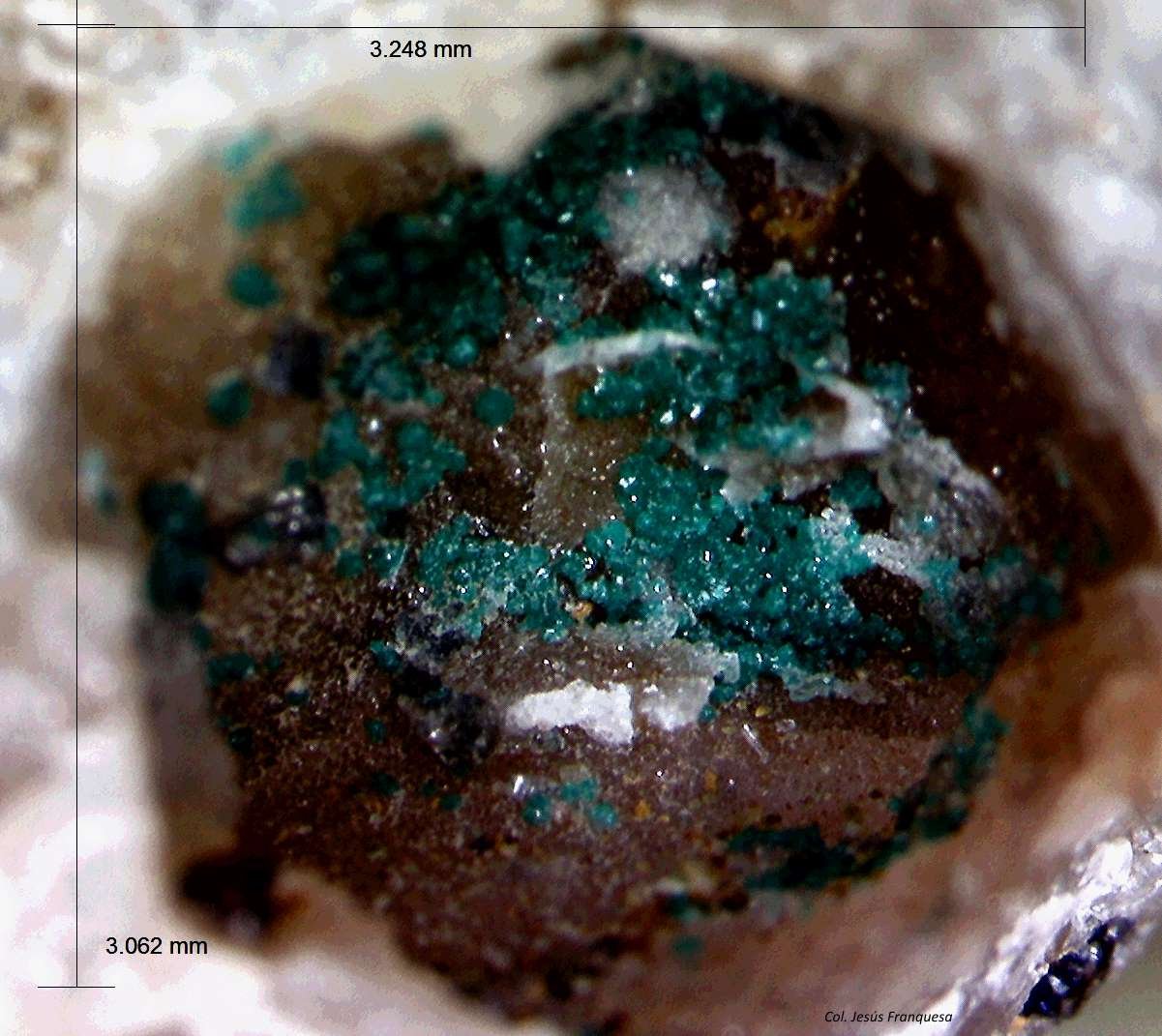 Herbertsmithita
3´248 x 3´062mm.
(Autor: Jesus Franquesa Baucells)