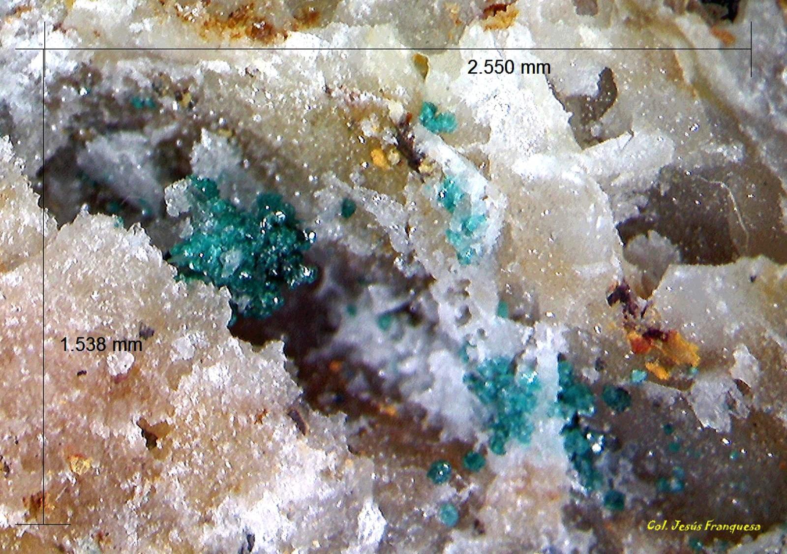 Herbertsmithita.
2´550 x 1´538 mm.
(Autor: Jesus Franquesa Baucells)