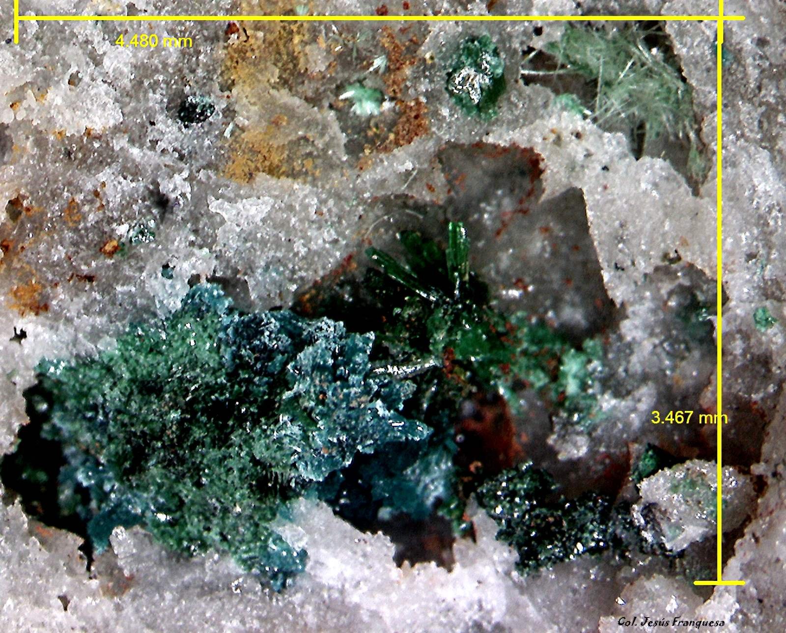 Herbertsmithita y Malaquita.
4´480 x 3´467 mm.
(Autor: Jesus Franquesa Baucells)