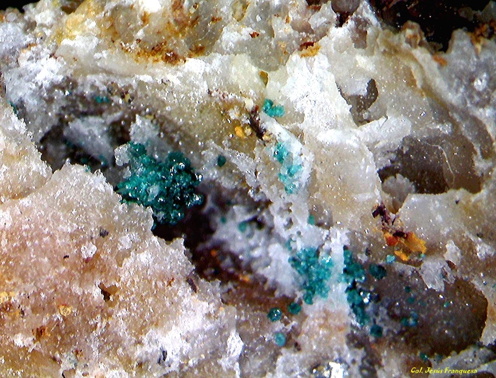 Herbertsmithita.
2´550 x 1´538 mm.
(Autor: Jesus Franquesa Baucells)