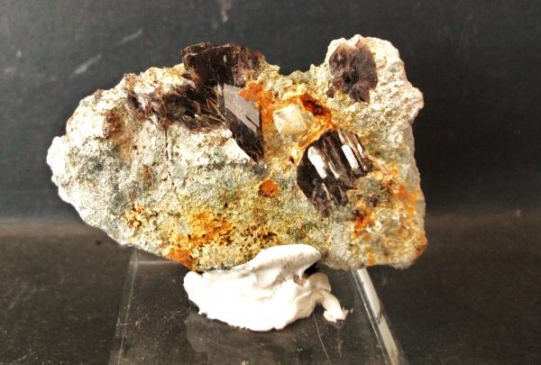 Axinita-(Fe)
Pieza 5x4 cm.; cristales 1 cm.
(Autor: Nieves)