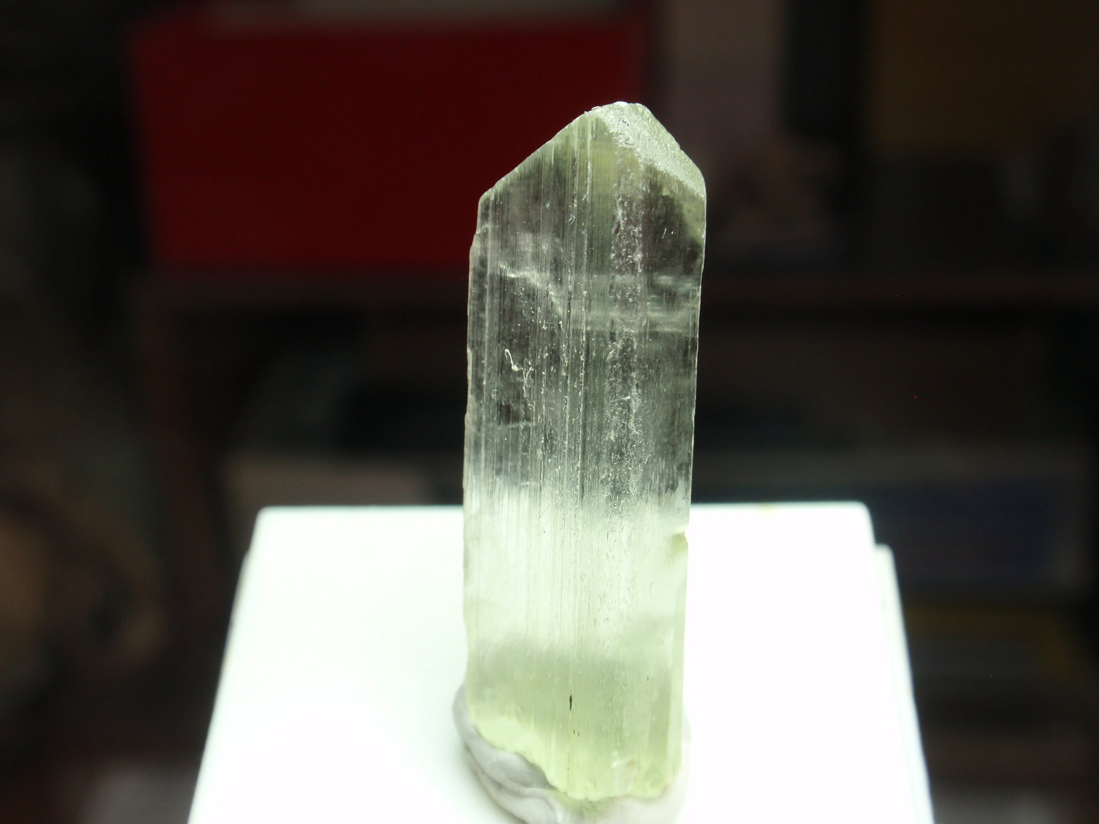 Espodumena (variedad hiddenita)
10x30 mm
(Autor: Ignacio)